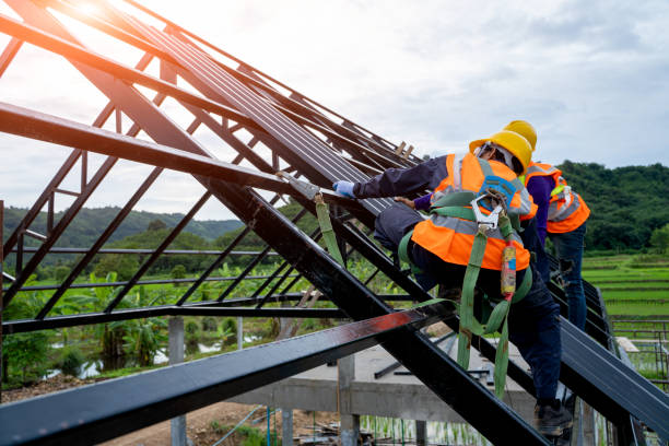 Professional Roofing Contractor in Eagan, MN
